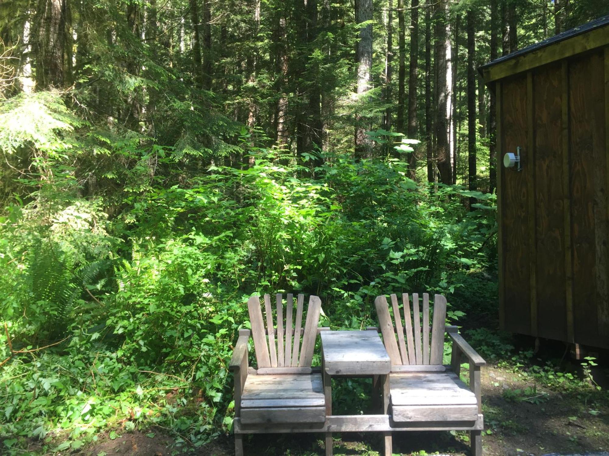 Alexander'S Lodge Ashford Eksteriør bilde